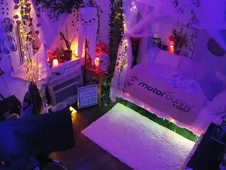 voyeurcam veccasalt 01's Live Sex Cam Show