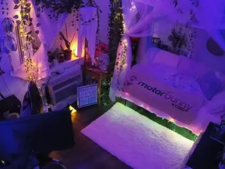 voyeurcam veccasalt 01's Live Sex Cam Show