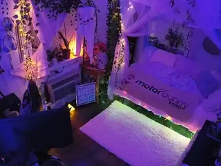 voyeurcam veccasalt 01's Live Sex Cam Show