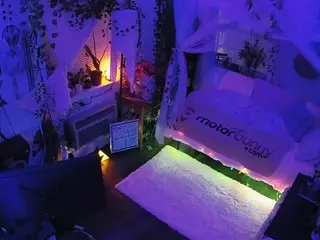 voyeurcam veccasalt 01's Live Sex Cam Show