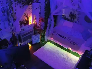 voyeurcam veccasalt 01's Live Sex Cam Show