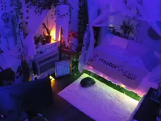 voyeurcam veccasalt 01's Live Sex Cam Show