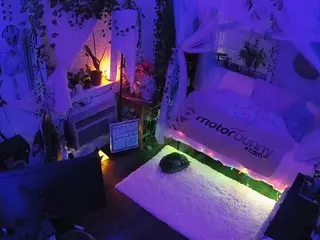 voyeurcam veccasalt 01's Live Sex Cam Show