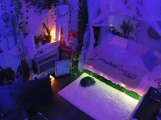 voyeurcam veccasalt 01's Live Sex Cam Show