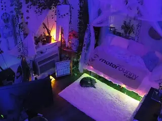 voyeurcam veccasalt 01's Live Sex Cam Show