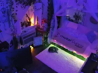voyeurcam veccasalt 01's Live Sex Cam Show