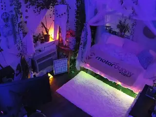 voyeurcam veccasalt 01's Live Sex Cam Show