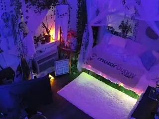 voyeurcam veccasalt 01's Live Sex Cam Show