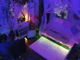 voyeurcam veccasalt 01's Live Sex Cam Show