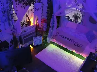 voyeurcam veccasalt 01's Live Sex Cam Show
