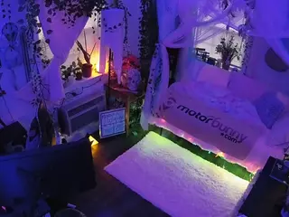 voyeurcam veccasalt 01's Live Sex Cam Show