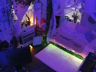 voyeurcam veccasalt 01's Live Sex Cam Show