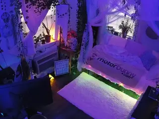 voyeurcam veccasalt 01's Live Sex Cam Show