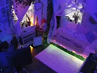 voyeurcam veccasalt 01's Live Sex Cam Show