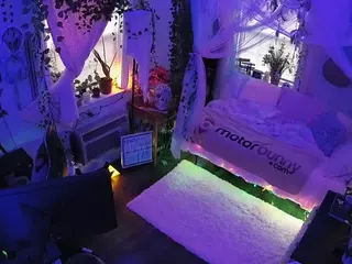 voyeurcam veccasalt 01's Live Sex Cam Show