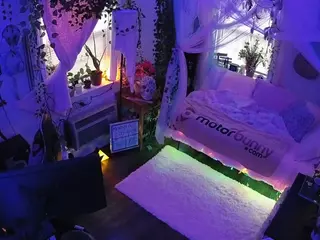 voyeurcam veccasalt 01's Live Sex Cam Show