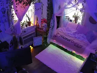 voyeurcam veccasalt 01's Live Sex Cam Show