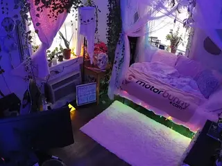 voyeurcam veccasalt 01's Live Sex Cam Show