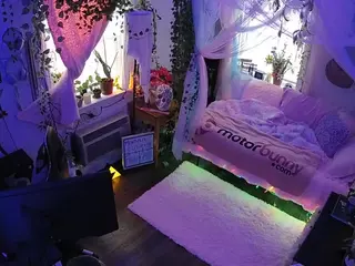 voyeurcam veccasalt 01's Live Sex Cam Show