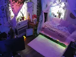 voyeurcam veccasalt 01's Live Sex Cam Show