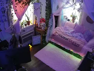 voyeurcam veccasalt 01's Live Sex Cam Show