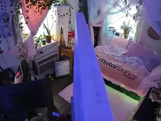 voyeurcam veccasalt 01's Live Sex Cam Show