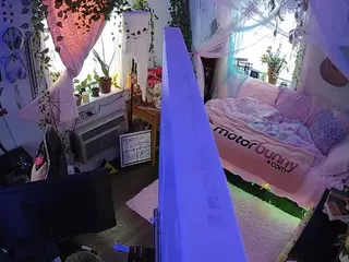 voyeurcam veccasalt 01's Live Sex Cam Show