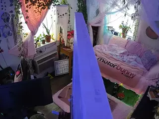 voyeurcam veccasalt 01's Live Sex Cam Show