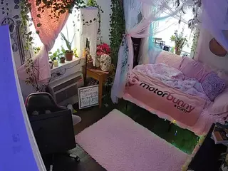 voyeurcam veccasalt 01's Live Sex Cam Show