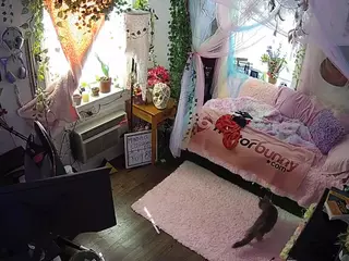 voyeurcam veccasalt 01's Live Sex Cam Show