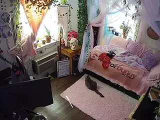 voyeurcam veccasalt 01's Live Sex Cam Show