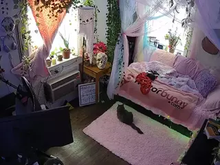 voyeurcam veccasalt 01's Live Sex Cam Show