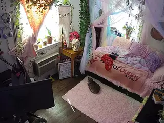 voyeurcam veccasalt 01's Live Sex Cam Show