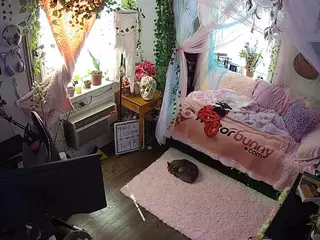voyeurcam veccasalt 01's Live Sex Cam Show