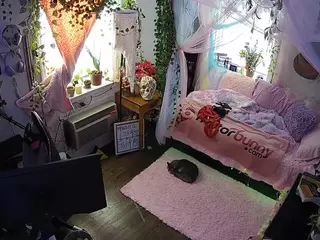 voyeurcam veccasalt 01's Live Sex Cam Show