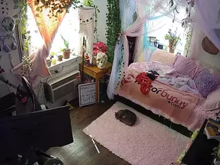 voyeurcam veccasalt 01's Live Sex Cam Show