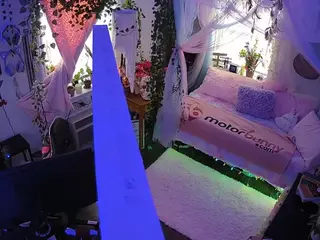 voyeurcam veccasalt 01's Live Sex Cam Show