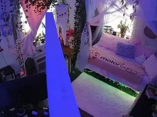 voyeurcam veccasalt 01's Live Sex Cam Show