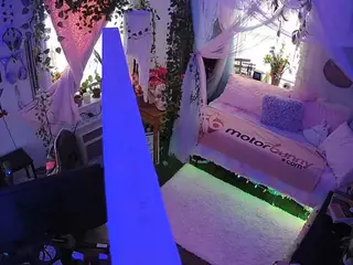 voyeurcam veccasalt 01's Live Sex Cam Show