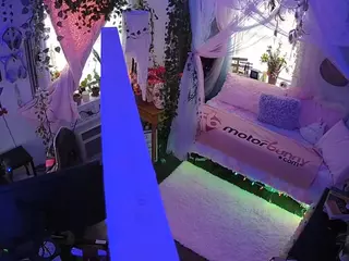 voyeurcam veccasalt 01's Live Sex Cam Show