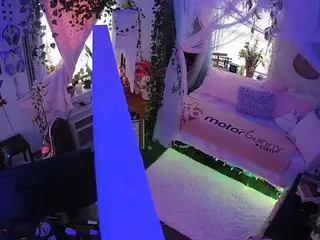 voyeurcam veccasalt 01's Live Sex Cam Show