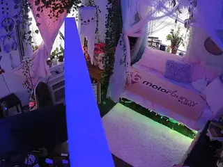 voyeurcam veccasalt 01's Live Sex Cam Show