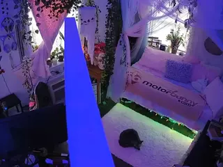 voyeurcam veccasalt 01's Live Sex Cam Show