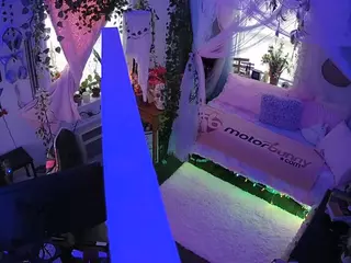 voyeurcam veccasalt 01's Live Sex Cam Show