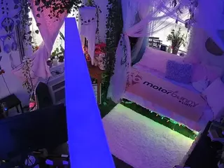 voyeurcam veccasalt 01's Live Sex Cam Show