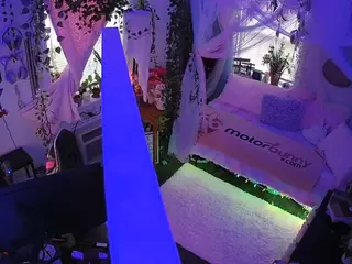 voyeurcam veccasalt 01's Live Sex Cam Show
