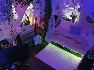 voyeurcam veccasalt 01's Live Sex Cam Show