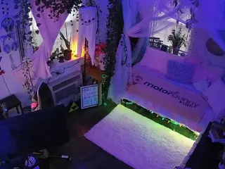 voyeurcam veccasalt 01's Live Sex Cam Show