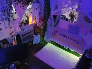 voyeurcam veccasalt 01's Live Sex Cam Show