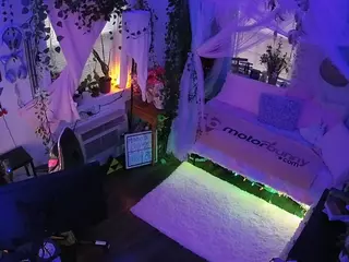 voyeurcam veccasalt 01's Live Sex Cam Show